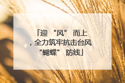迎 “风” 而上，全力筑牢抗击台风 “蝴蝶” 防线