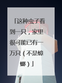 这种虫子看到一只，家里很可能已有一万只（不是蟑螂）