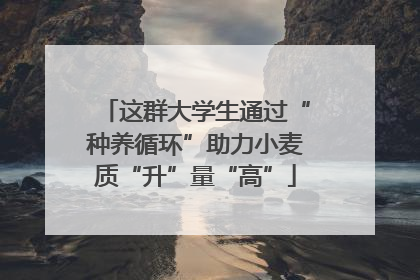 这群大学生通过“种养循环”助力小麦质“升”量“高”