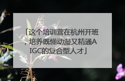 这个培训营在杭州开班，培养既懂动漫又精通AIGC的复合型人才