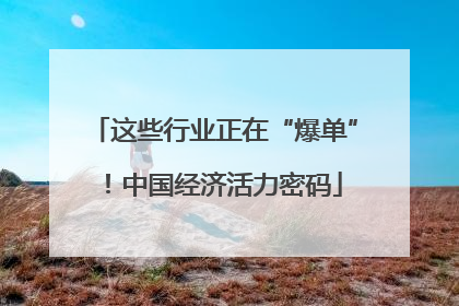 这些行业正在“爆单”！中国经济活力密码