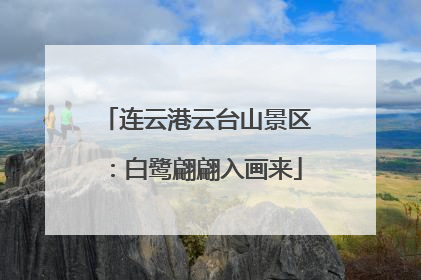 连云港云台山景区：白鹭翩翩入画来