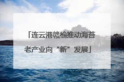 连云港赣榆推动海苔老产业向“新”发展