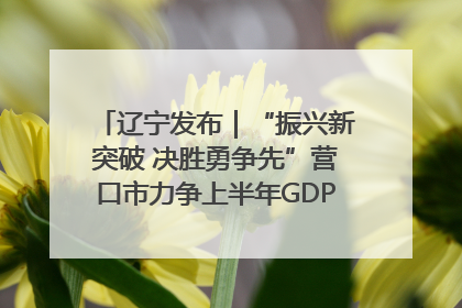 辽宁发布｜“振兴新突破 决胜勇争先”营口市力争上半年GDP增长6%左右