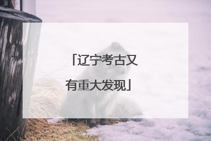 辽宁考古又有重大发现