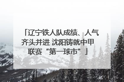辽宁铁人队成绩、人气齐头并进 沈阳铸就中甲联赛“第一球市”