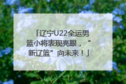 辽宁U22全运男篮小将表现亮眼，“新辽篮”向未来！