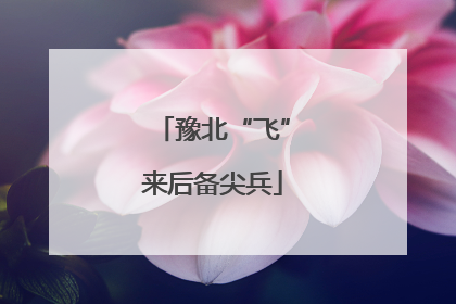 豫北“飞”来后备尖兵