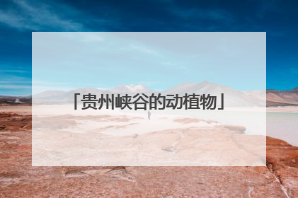 贵州峡谷的动植物