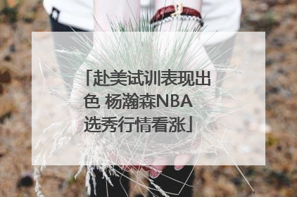 赴美试训表现出色 杨瀚森NBA选秀行情看涨