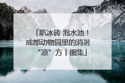 趴冰砖 泡水池！成都动物园里的消暑“凉”方丨图集