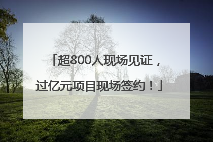 超800人现场见证，过亿元项目现场签约！