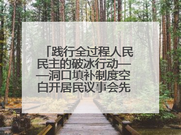 践行全过程人民民主的破冰行动——洞口填补制度空白开居民议事会先河侧记