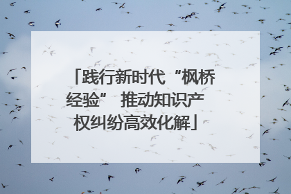 践行新时代“枫桥经验” 推动知识产权纠纷高效化解