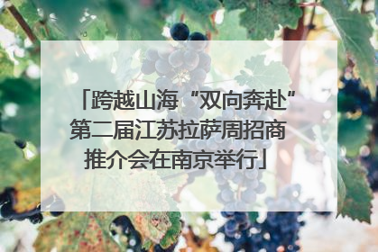 跨越山海“双向奔赴” 第二届江苏拉萨周招商推介会在南京举行