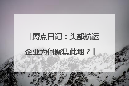 蹲点日记：头部航运企业为何聚集此地？