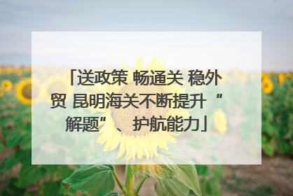 送政策 畅通关 稳外贸 昆明海关不断提升“解题”、护航能力