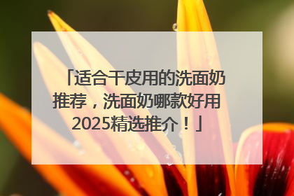 适合干皮用的洗面奶推荐，洗面奶哪款好用2025精选推介！