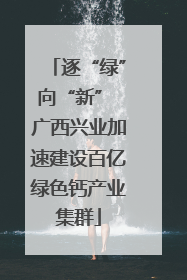 逐“绿”向“新” 广西兴业加速建设百亿绿色钙产业集群