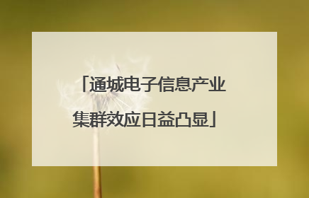 通城电子信息产业集群效应日益凸显