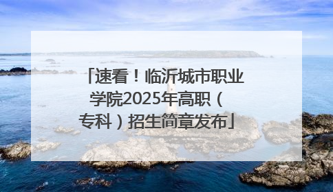 速看！临沂城市职业学院2025年高职（专科）招生简章发布