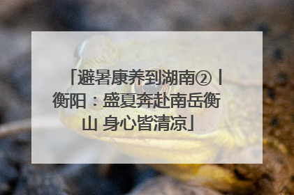 避暑康养到湖南②丨衡阳：盛夏奔赴南岳衡山 身心皆清凉