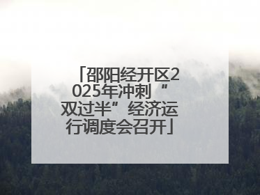 邵阳经开区2025年冲刺“双过半”经济运行调度会召开