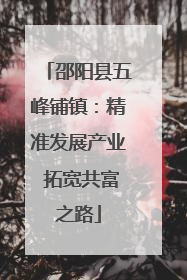 邵阳县五峰铺镇：精准发展产业 拓宽共富之路