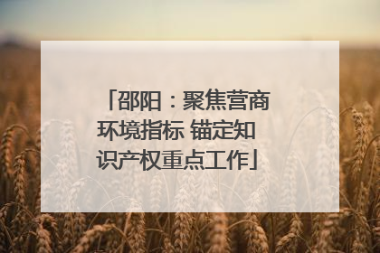 邵阳：聚焦营商环境指标 锚定知识产权重点工作