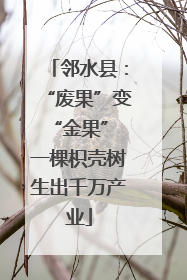 邻水县：“废果”变“金果” 一棵枳壳树生出千万产业