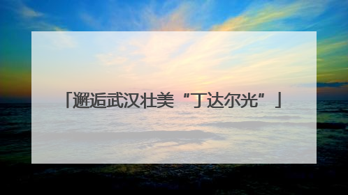 邂逅武汉壮美“丁达尔光”