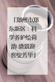 郑州市郑东新区：科学养护绘荷韵 盛景迎客绽芳华