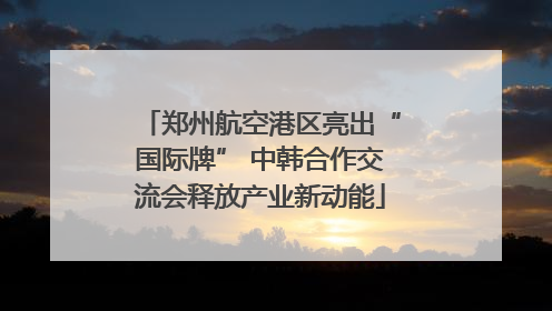 郑州航空港区亮出“国际牌” 中韩合作交流会释放产业新动能