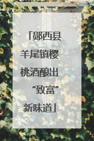 郧西县羊尾镇樱桃酒酿出“致富”新味道