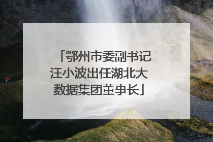 鄂州市委副书记汪小波出任湖北大数据集团董事长