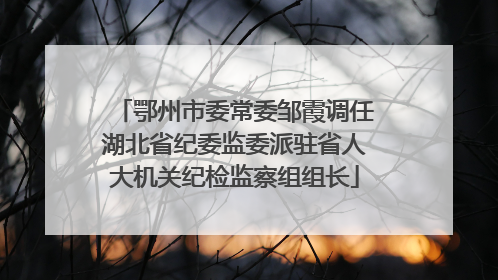 鄂州市委常委邹霞调任湖北省纪委监委派驻省人大机关纪检监察组组长