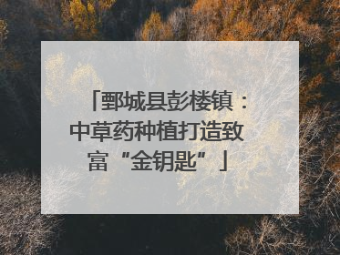 鄄城县彭楼镇：中草药种植打造致富“金钥匙”