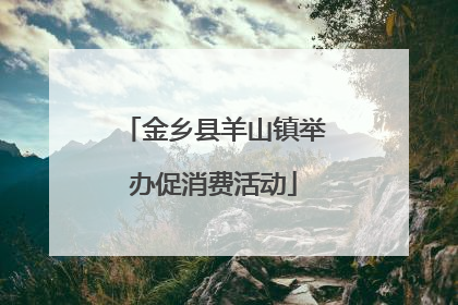 金乡县羊山镇举办促消费活动