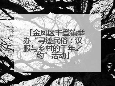 金凤区丰登镇举办“寻迹民俗：汉服与乡村的千年之约”活动