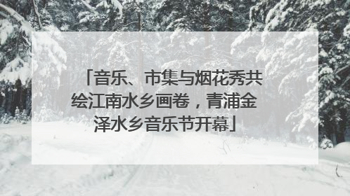 音乐、市集与烟花秀共绘江南水乡画卷，青浦金泽水乡音乐节开幕