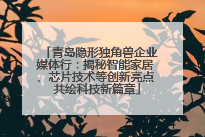 青岛隐形独角兽企业媒体行：揭秘智能家居、芯片技术等创新亮点 共绘科技新篇章