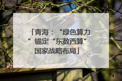 青海：“绿色算力”锚定“东数西算”国家战略布局