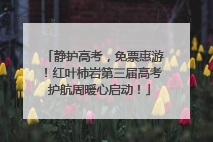 静护高考，免票惠游！红叶柿岩第三届高考护航周暖心启动！