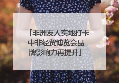 非洲友人实地打卡 中非经贸博览会品牌影响力再提升