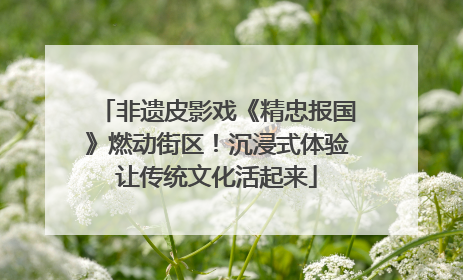 非遗皮影戏《精忠报国》燃动街区！沉浸式体验让传统文化活起来