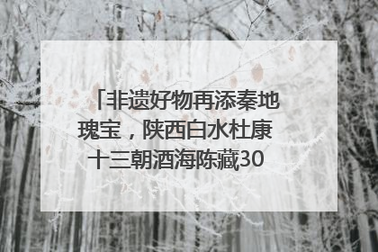 非遗好物再添秦地瑰宝，陕西白水杜康十三朝酒海陈藏30年别具一格