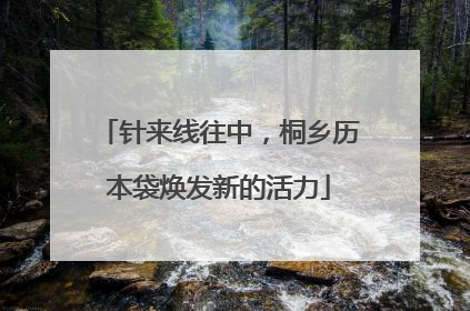 针来线往中，桐乡历本袋焕发新的活力