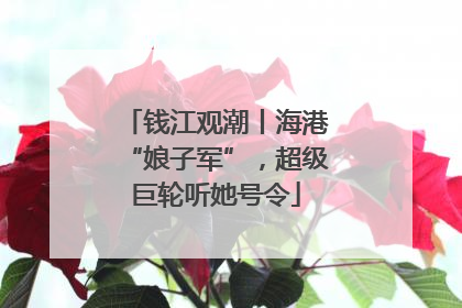 钱江观潮丨海港“娘子军”，超级巨轮听她号令