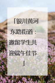 银川黄河东路街道：邀留学生共迎端午佳节