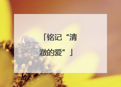 铭记“清澈的爱”